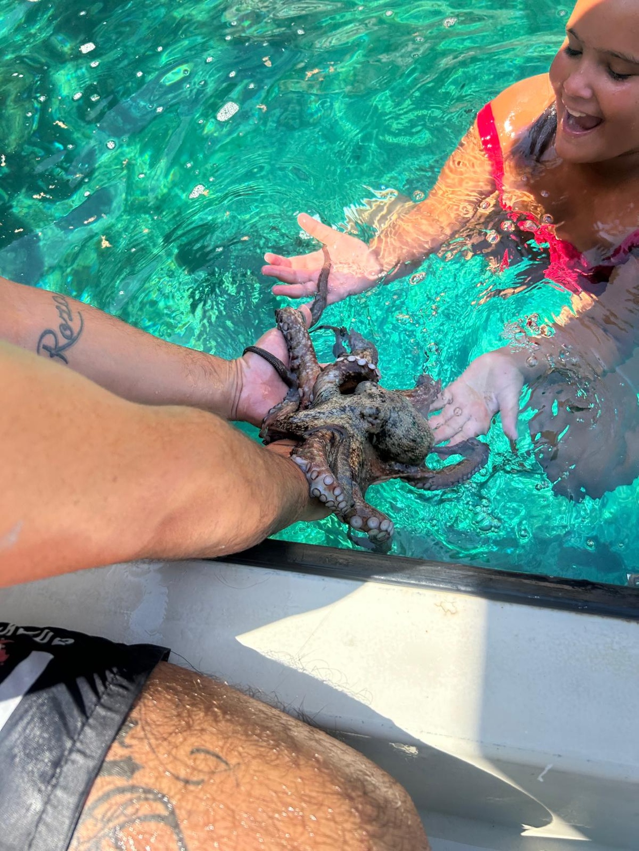 Guests meeting an octopus at the side of the boat before it is released